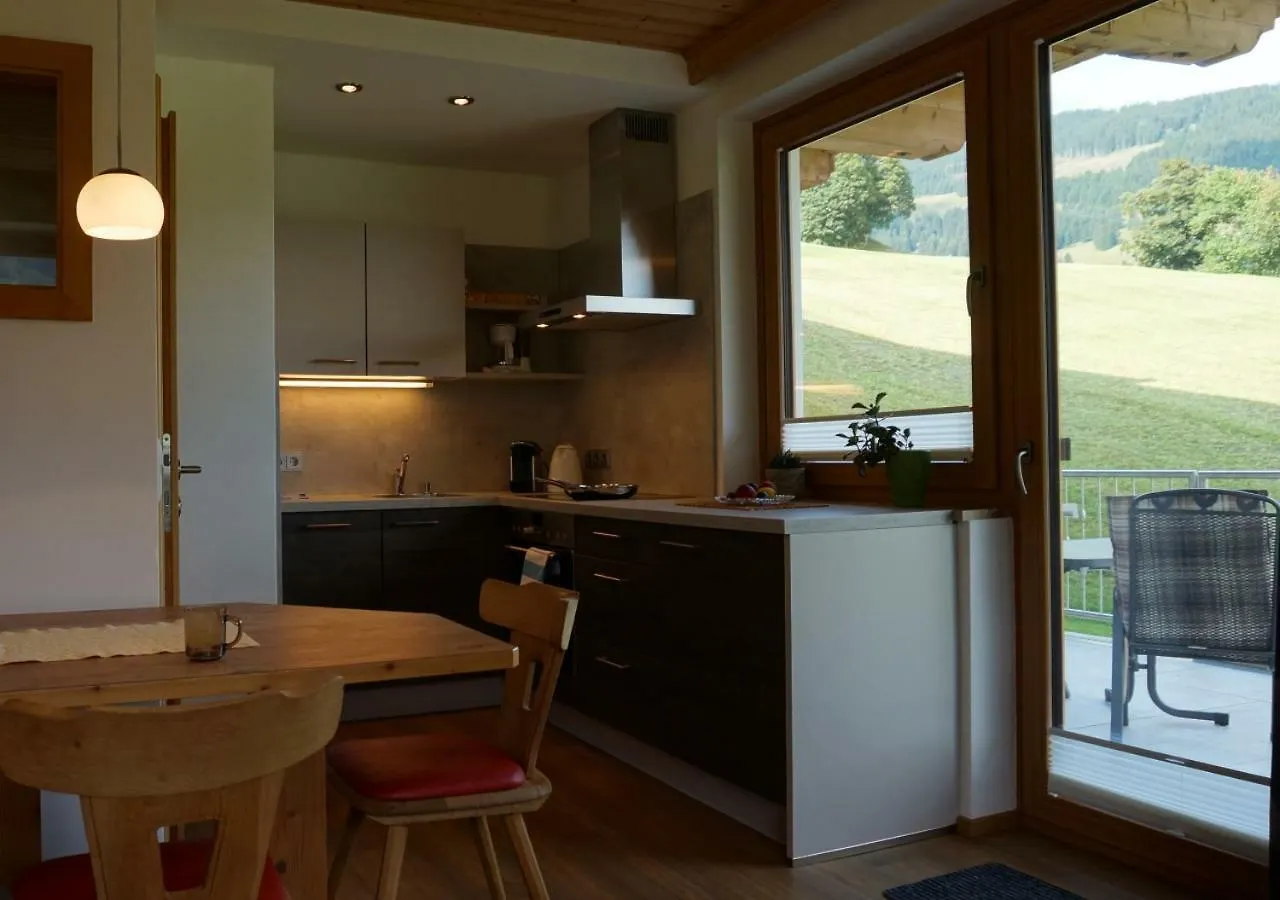 Alpenhit Saalbach Apartment Austria
